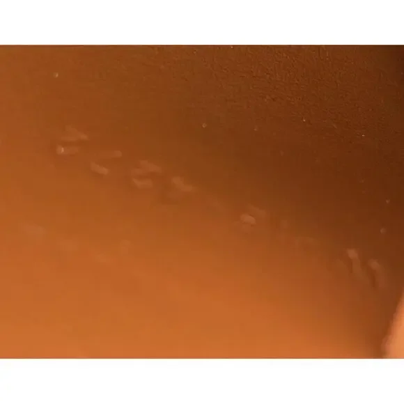 Celine Triomphe Shoulder Bag Shearling #227416C18B - Picture 8 of 8